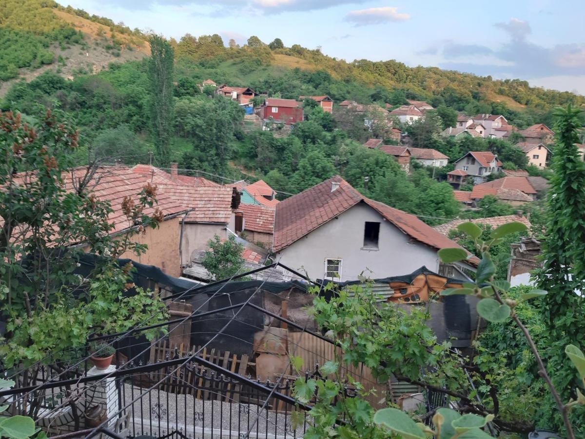 Vila Mir Pirot Esterno foto