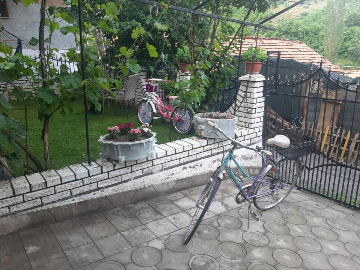 Vila Mir Pirot Esterno foto