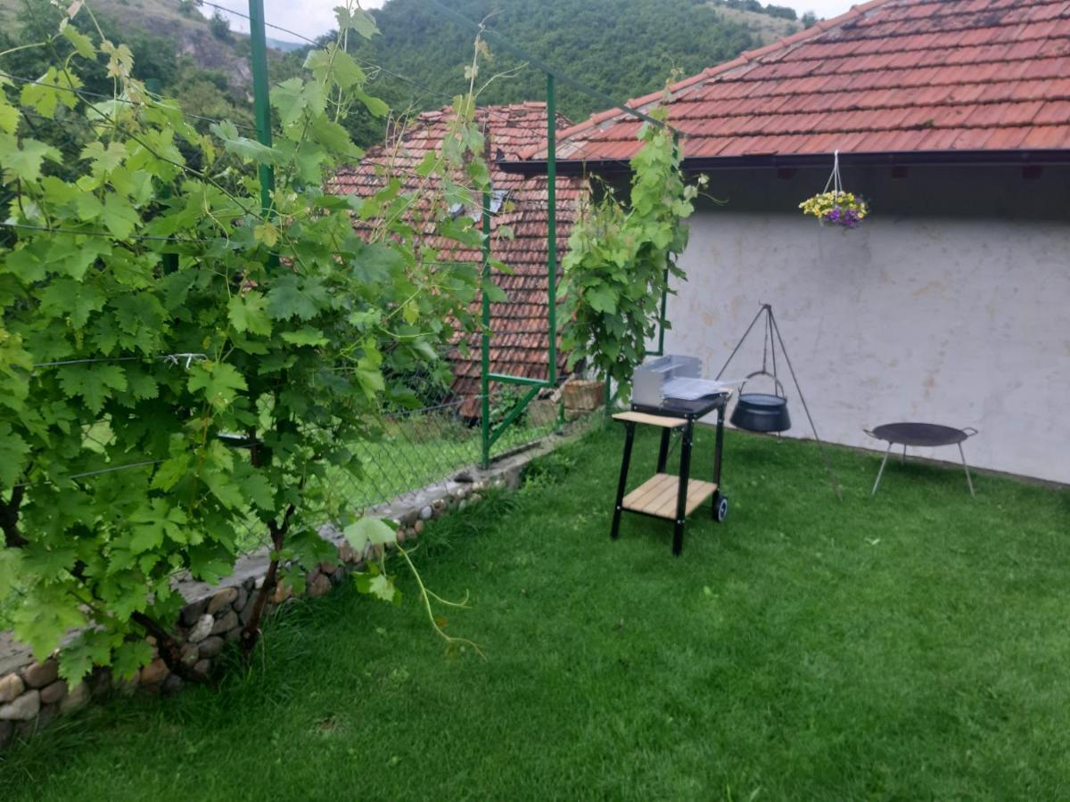 Vila Mir Pirot Esterno foto