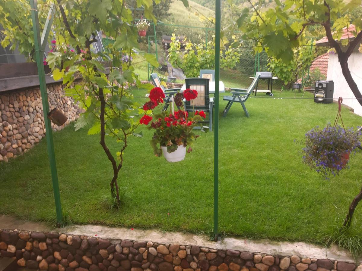 Vila Mir Pirot Esterno foto