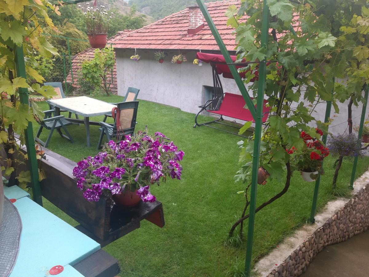 Vila Mir Pirot Esterno foto