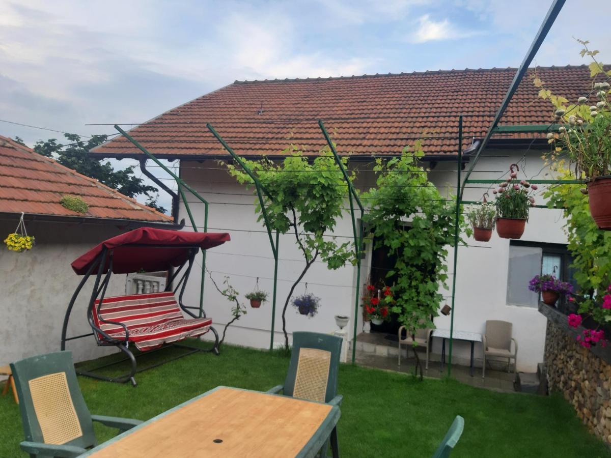 Vila Mir Pirot Esterno foto